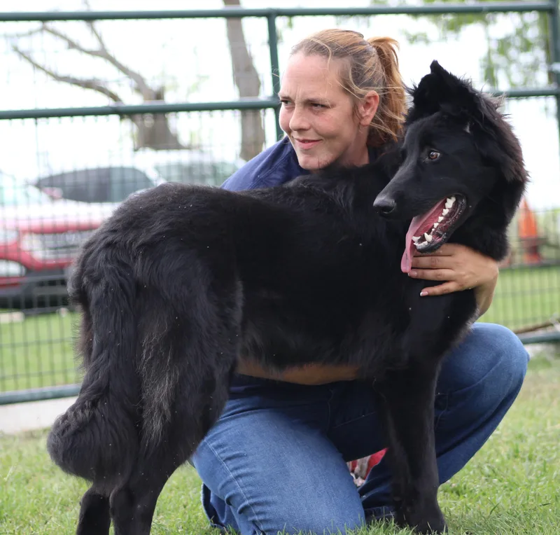 Whichway thumbnail 2