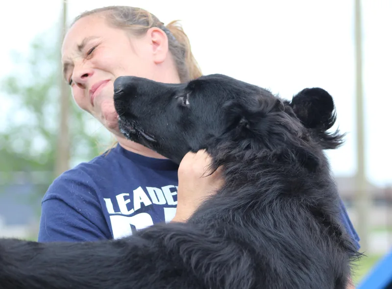 Whichway thumbnail 3