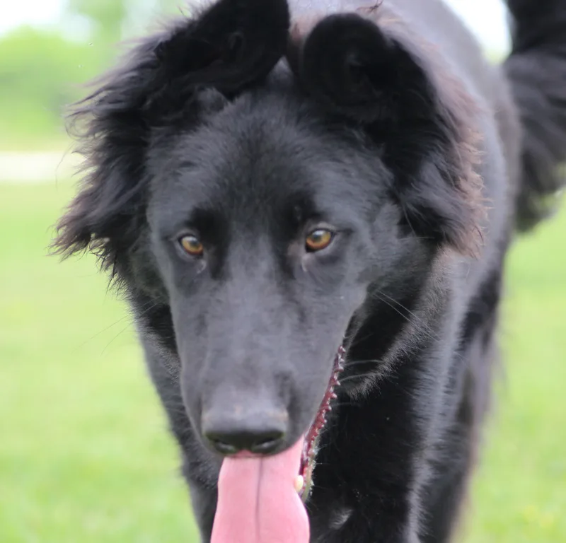 Whichway thumbnail 4