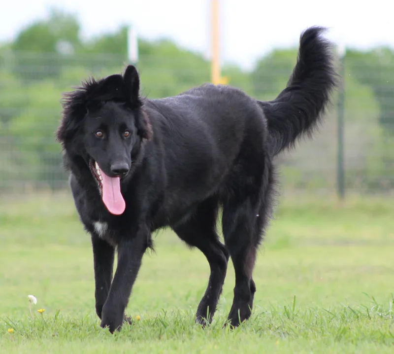 Whichway thumbnail 5