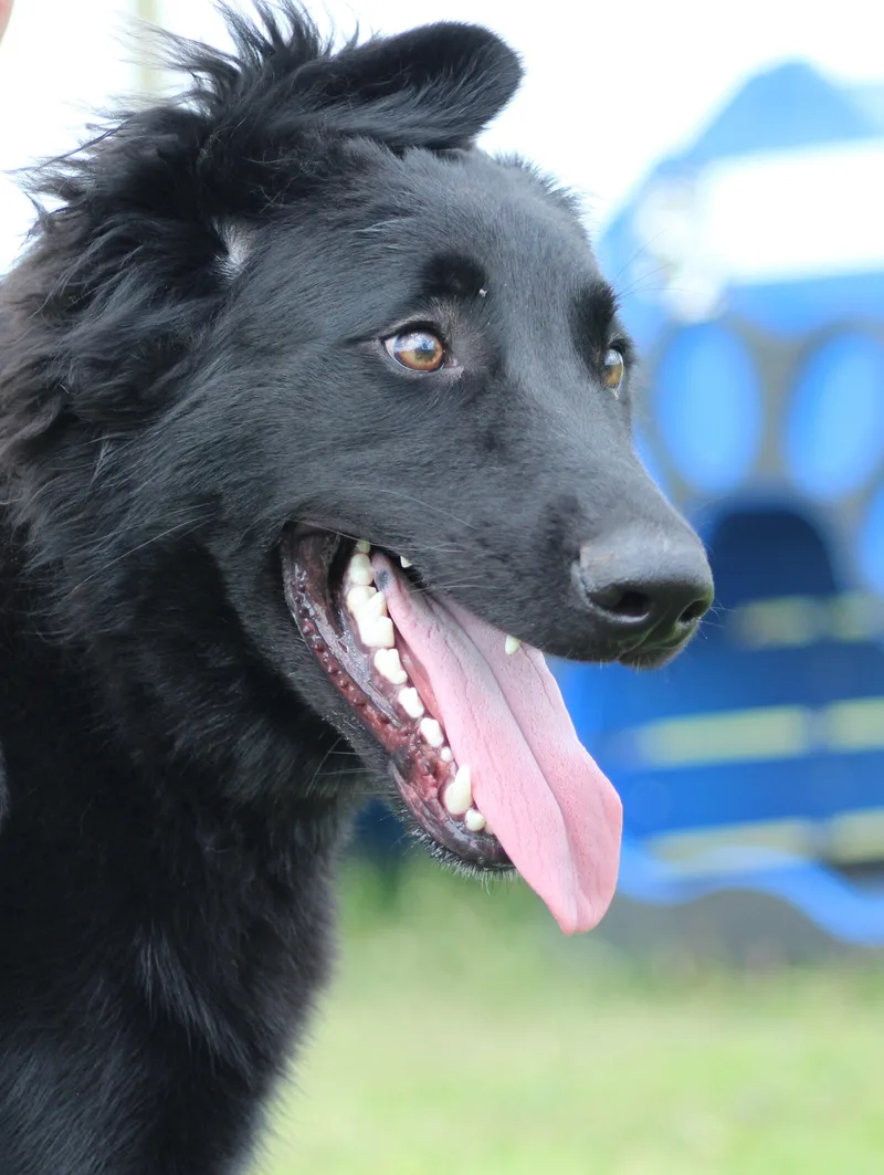 Whichway thumbnail 6