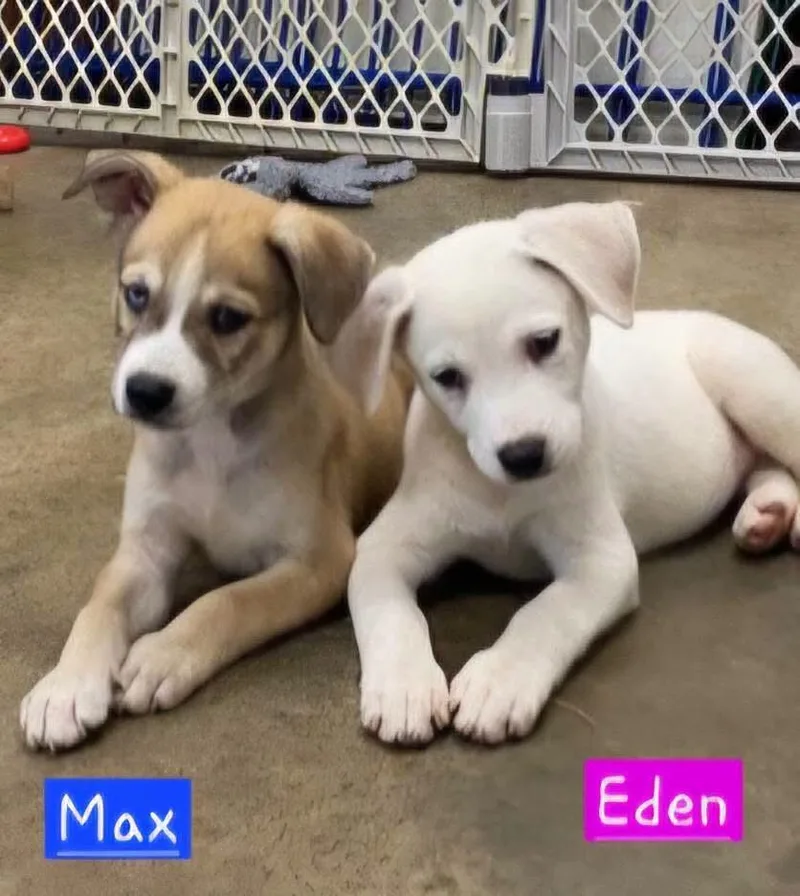 Eden thumbnail 4