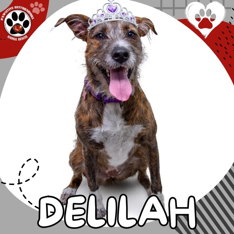 Delilah thumbnail 2
