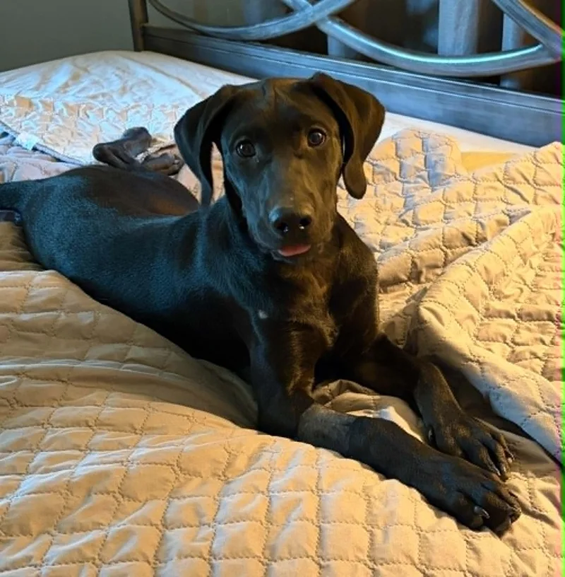 Daisy Mae