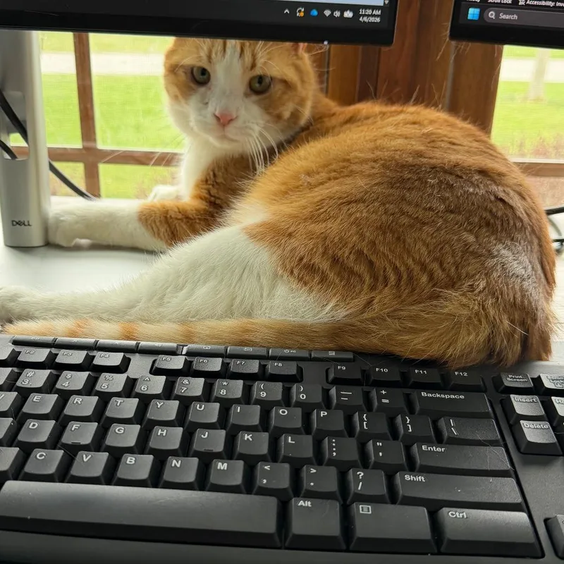 Hercules thumbnail 5