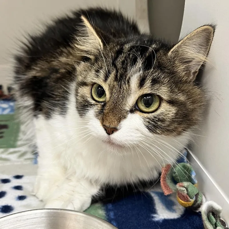 Chardonnay thumbnail 2