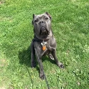 Fiona