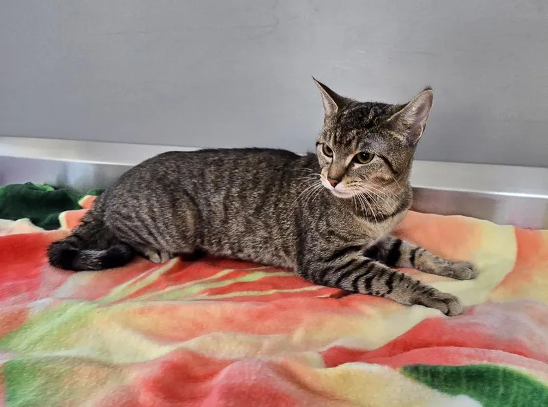 Lucy Lou thumbnail 3