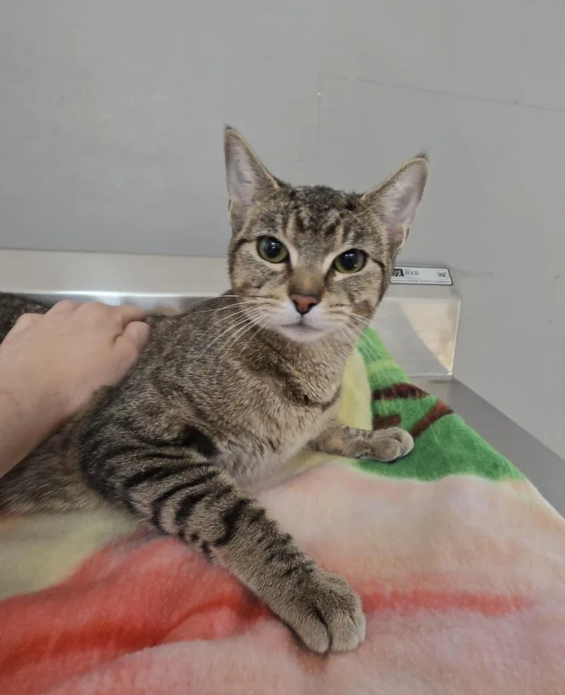 Lucy Lou thumbnail 4