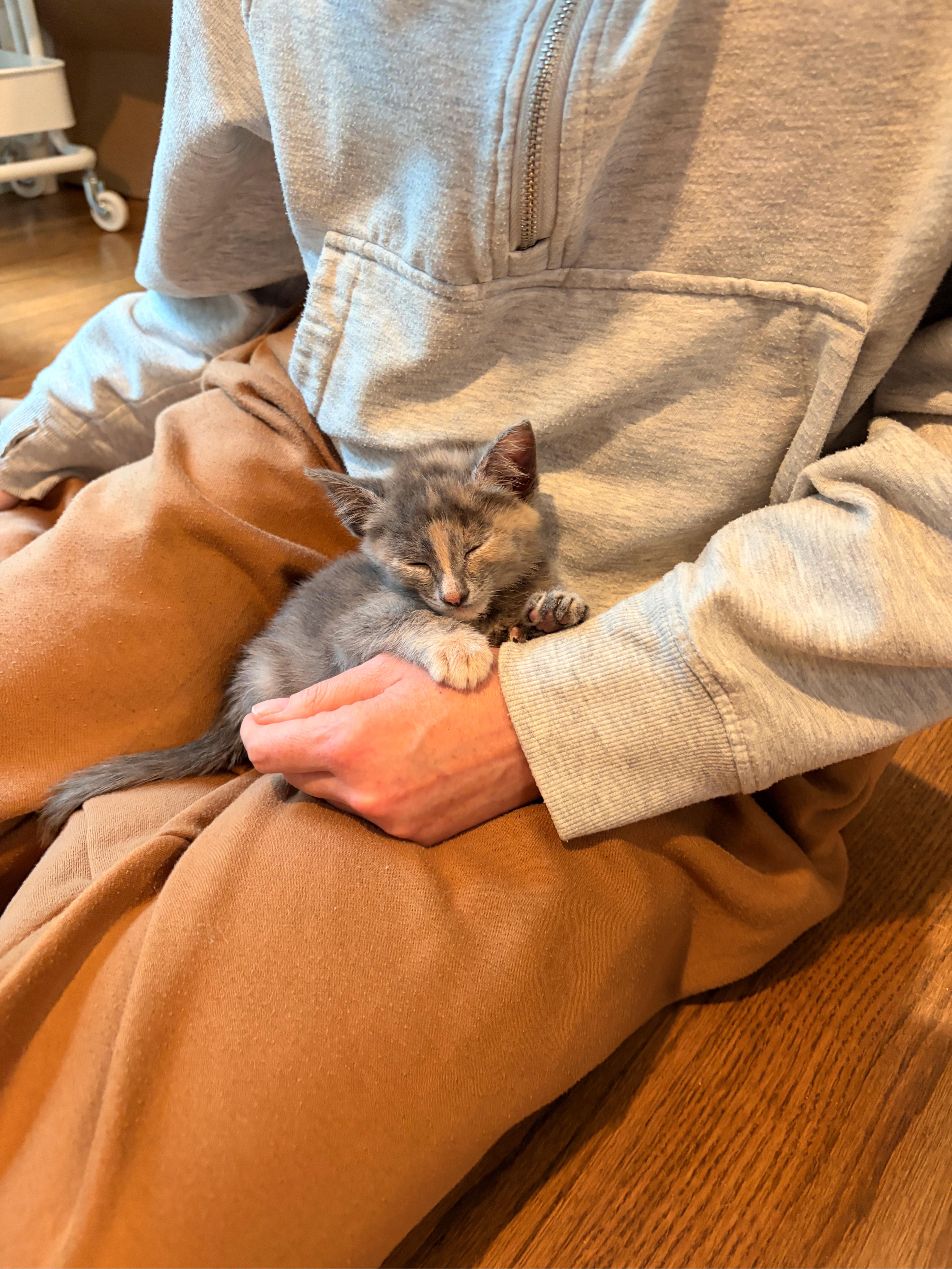 Sweetpea thumbnail 6