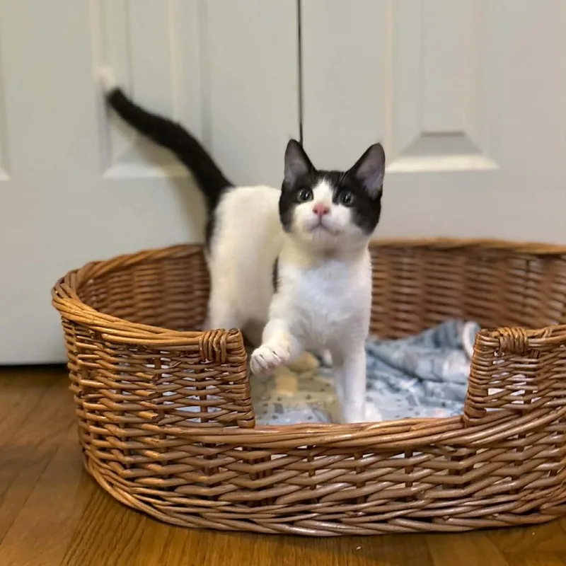 Otis thumbnail 2