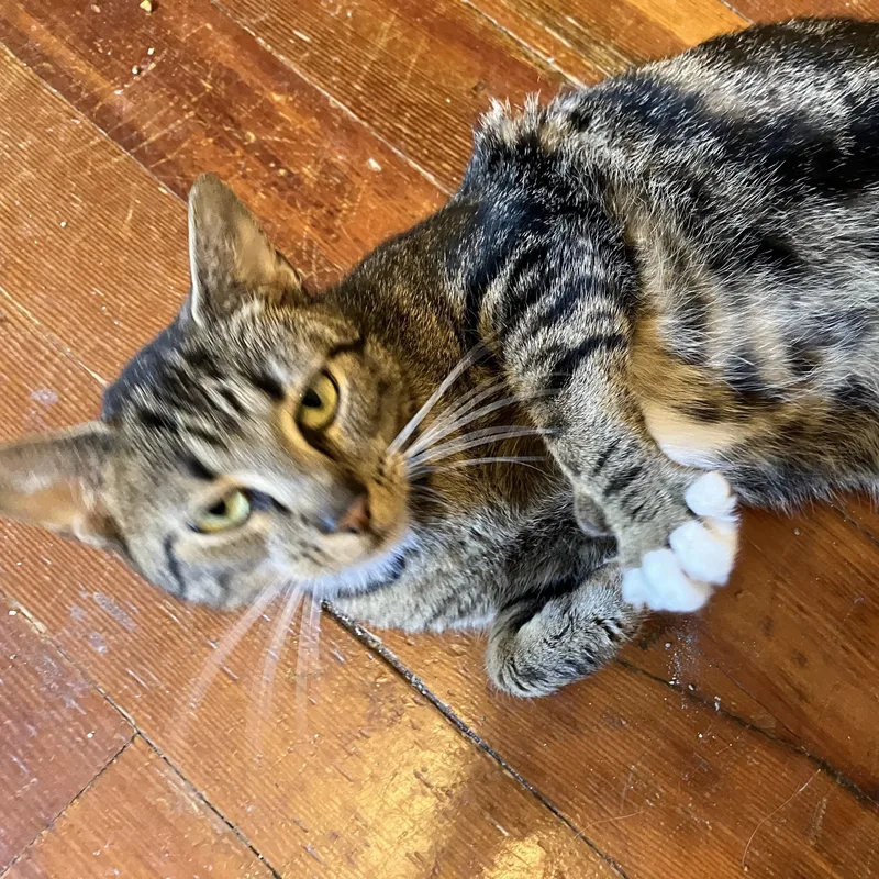 Patricia thumbnail 2