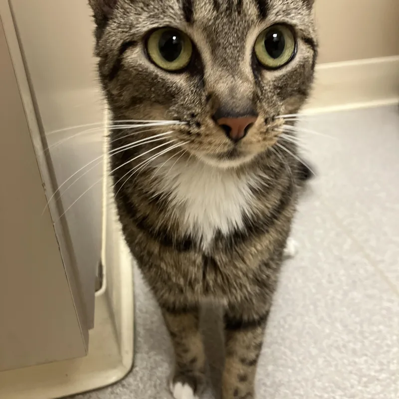 Patricia thumbnail 3