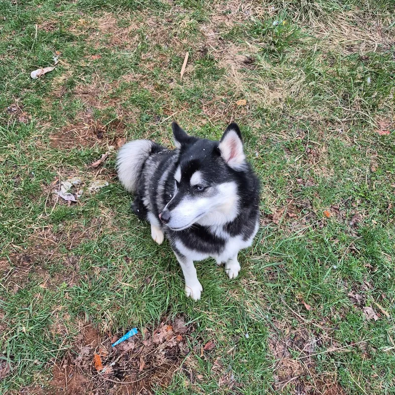 Obi Community Post thumbnail 3