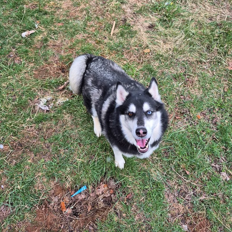 Obi Community Post thumbnail 4