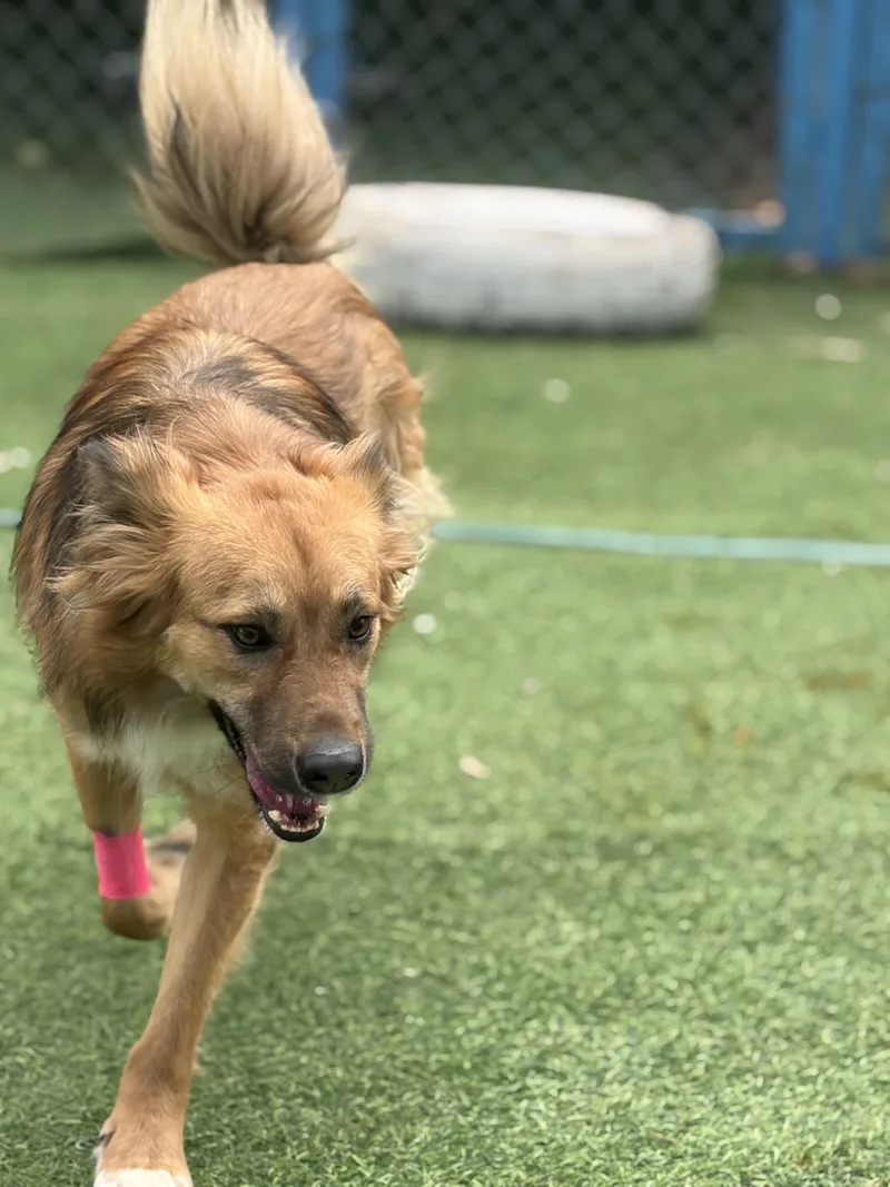 Hiba  The Special thumbnail 5