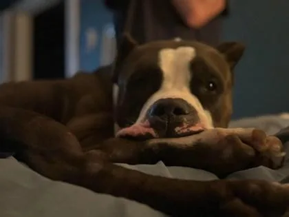 Rick Sanchez thumbnail 4