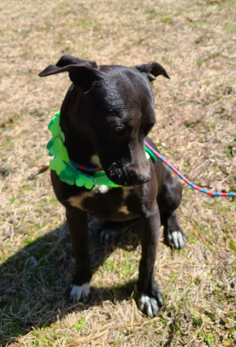 Missy  Please  thumbnail 2