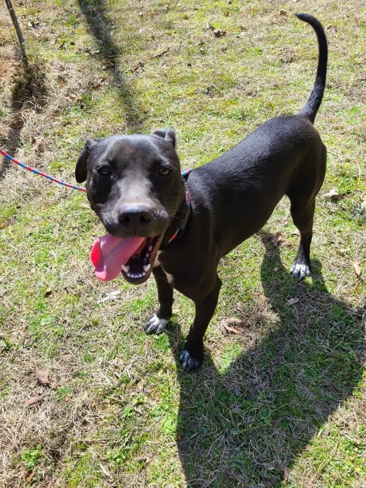 Missy  Please  thumbnail 4