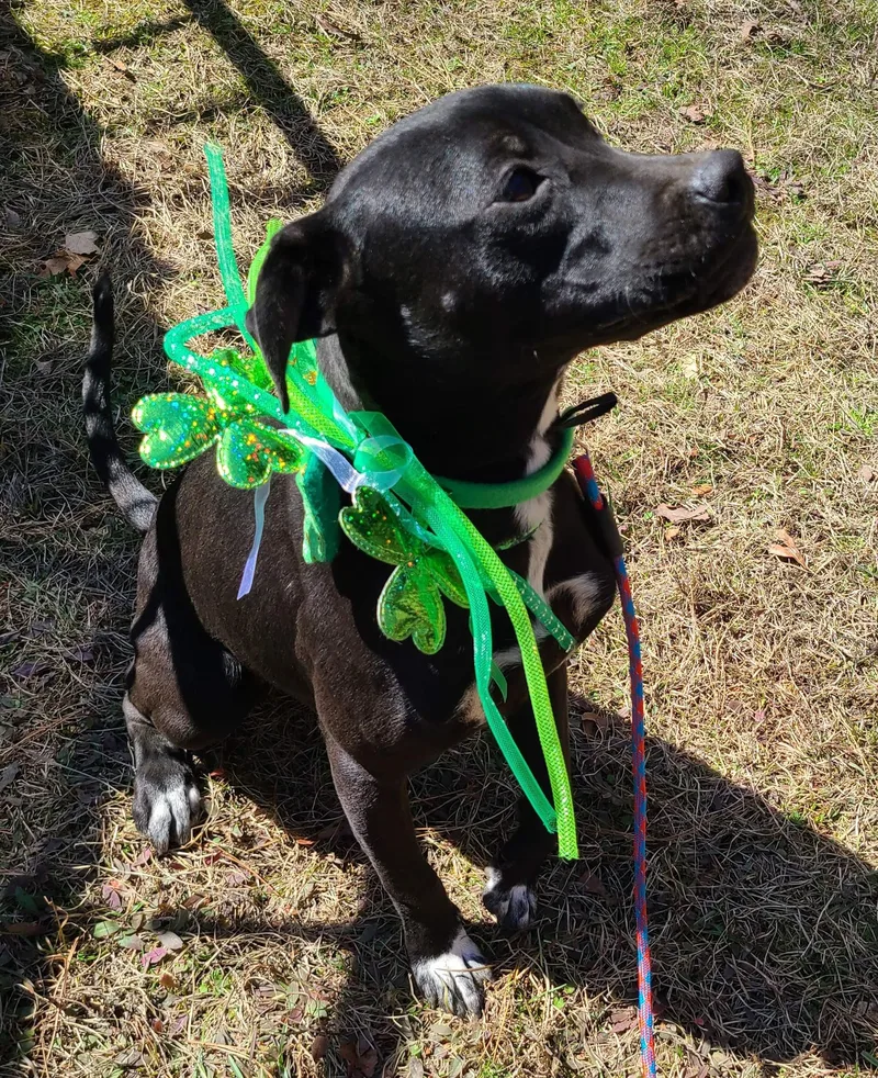 Missy  Please  thumbnail 5