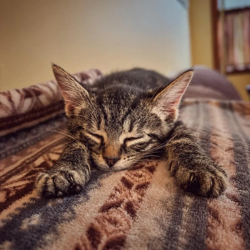 Gilligan