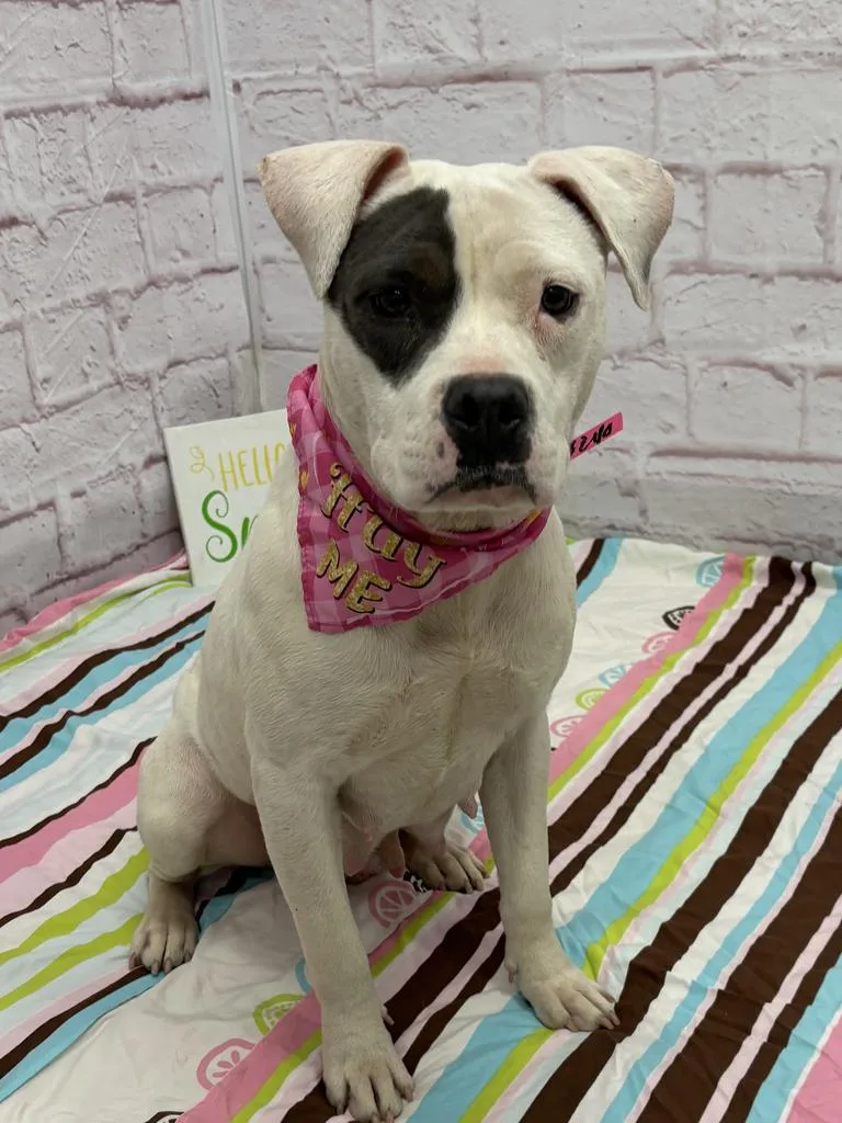 Rainpetal thumbnail 3