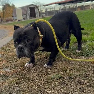 Bitsy Boo thumbnail 6