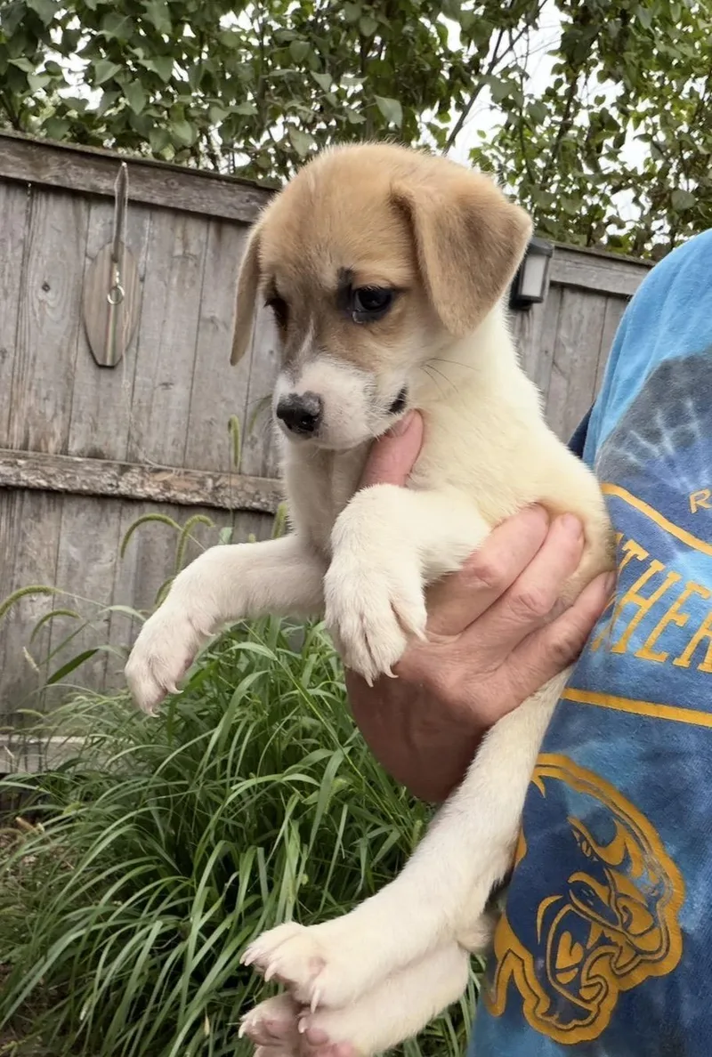 Cleo thumbnail 2