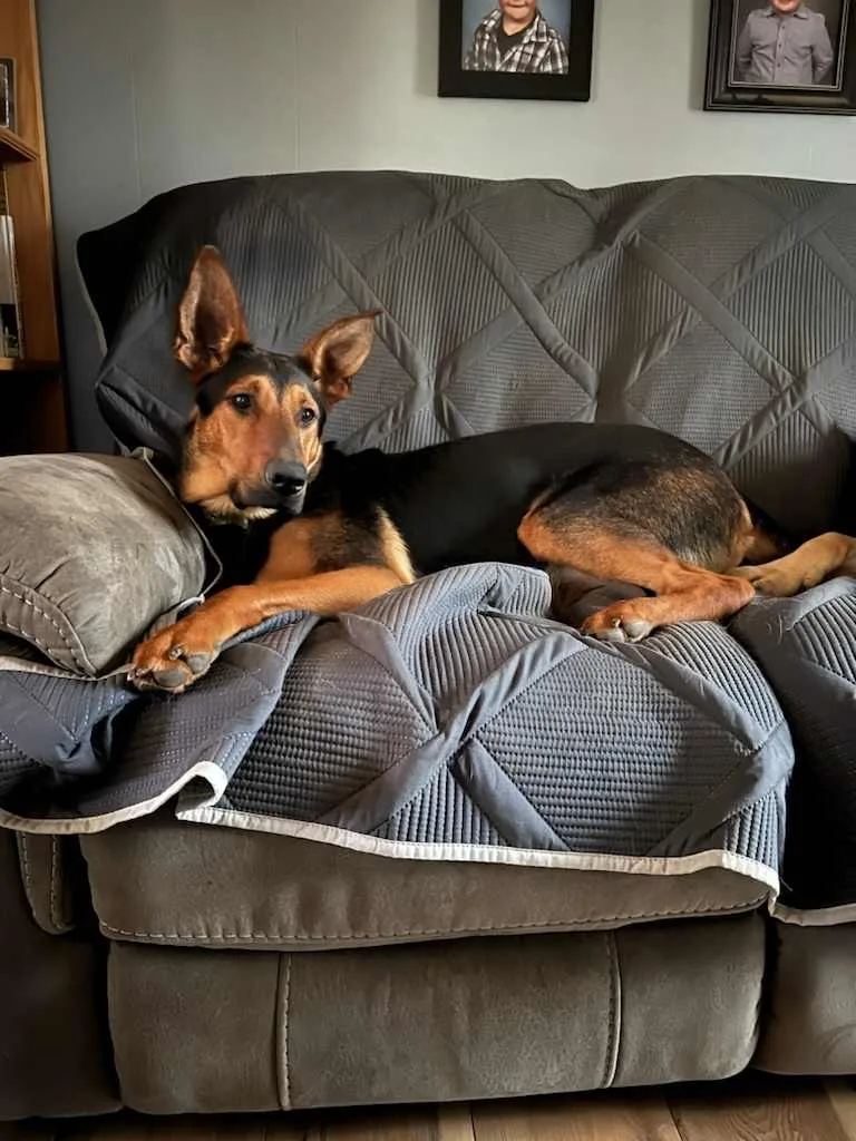 Sprinter thumbnail 2