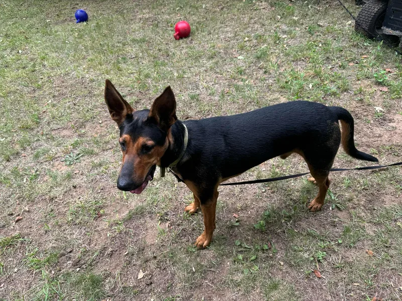 Sprinter thumbnail 3