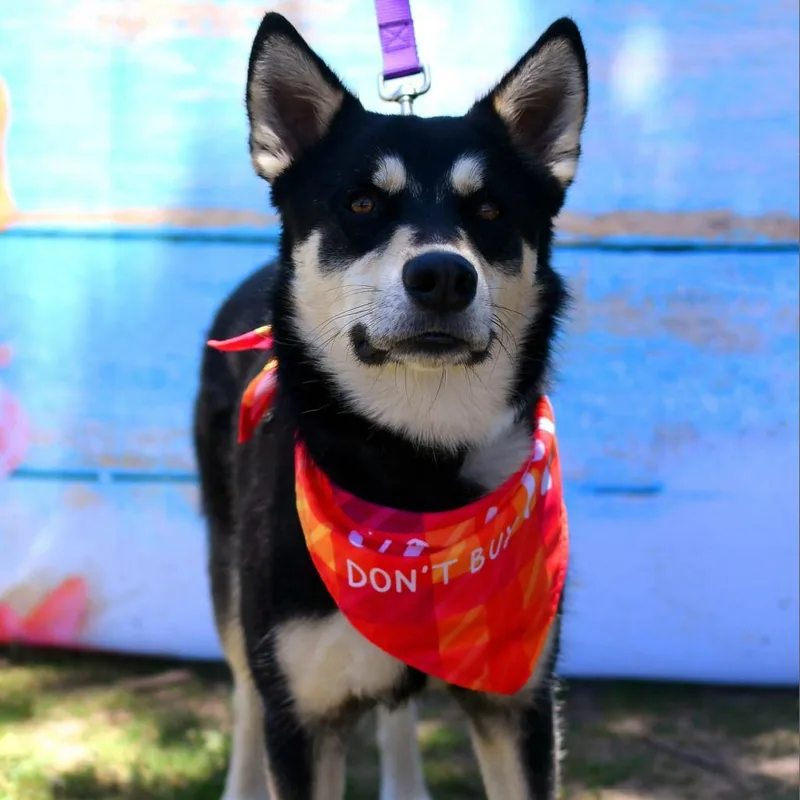 Timothee thumbnail 2