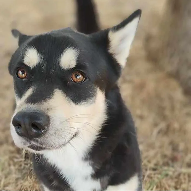 Timothee thumbnail 3