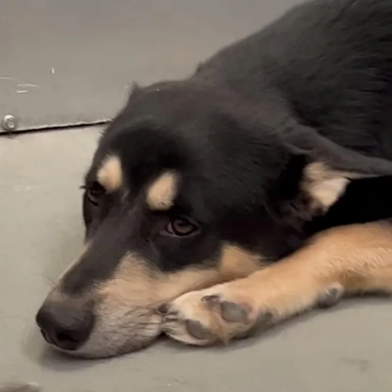 Timothee thumbnail 4