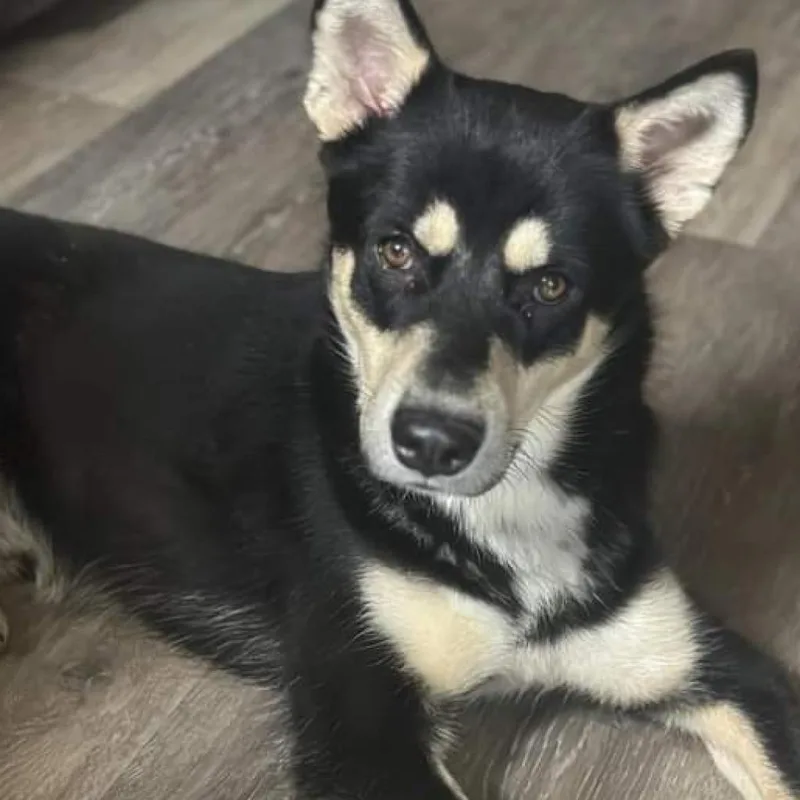 Timothee thumbnail 5