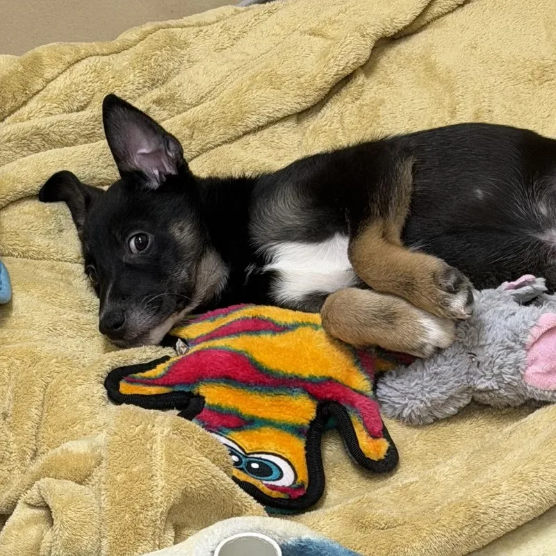 Sailor Pluto thumbnail 2