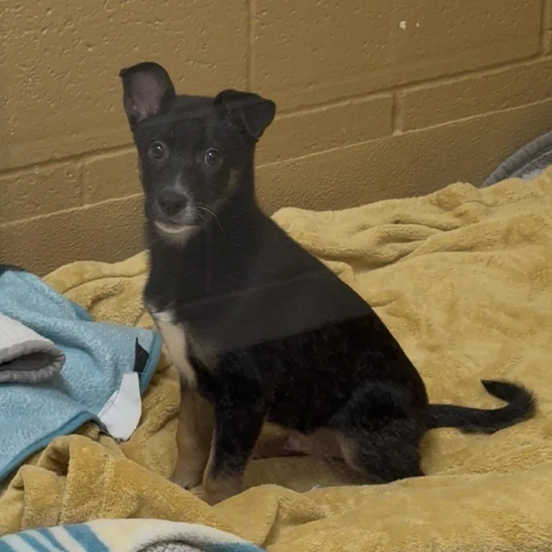 Sailor Pluto thumbnail 3