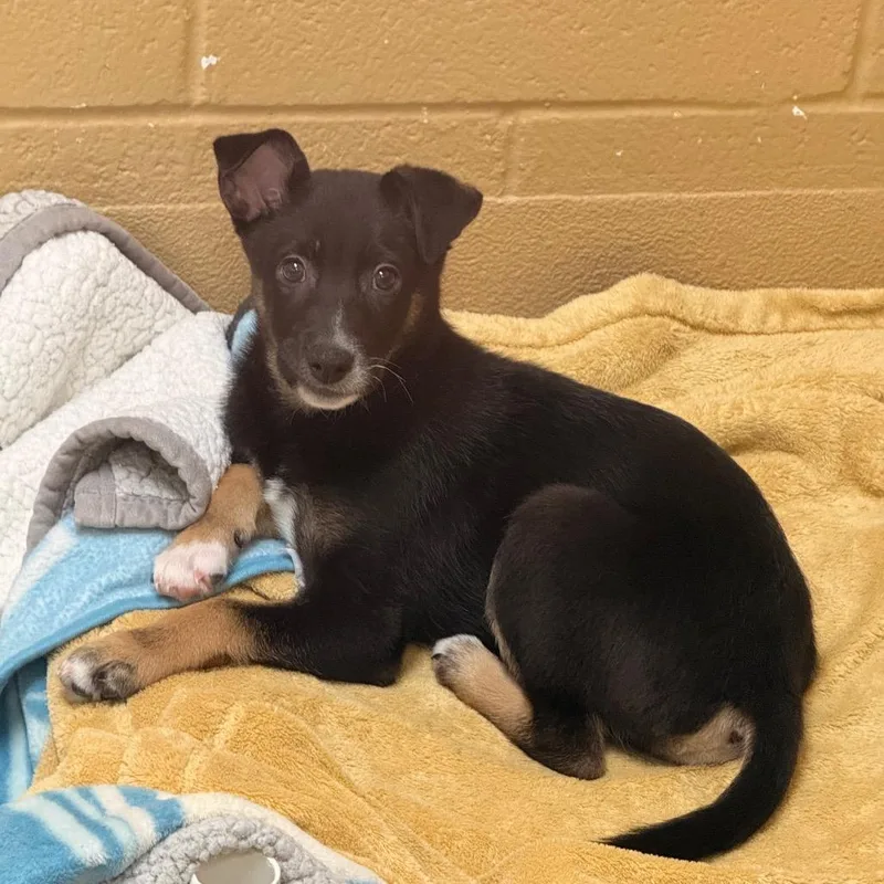 Sailor Pluto thumbnail 4