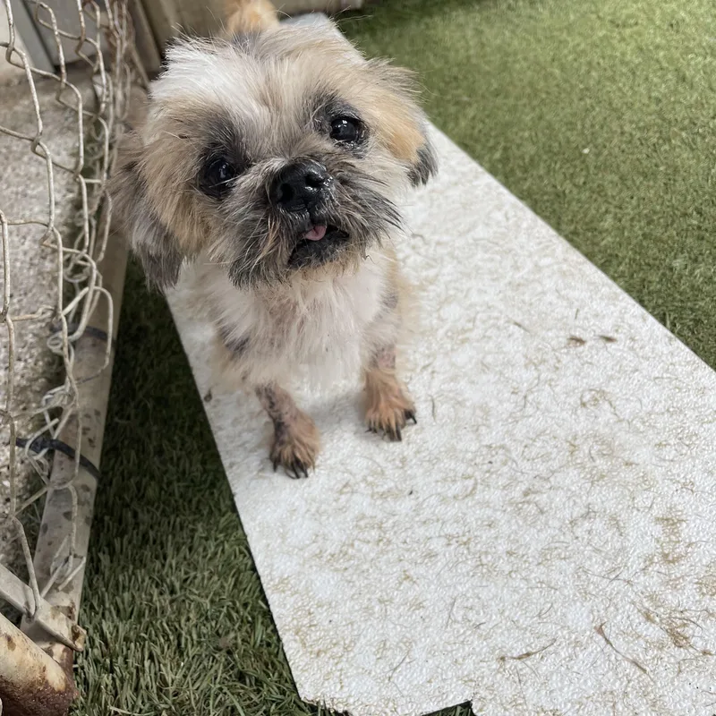 Kingston