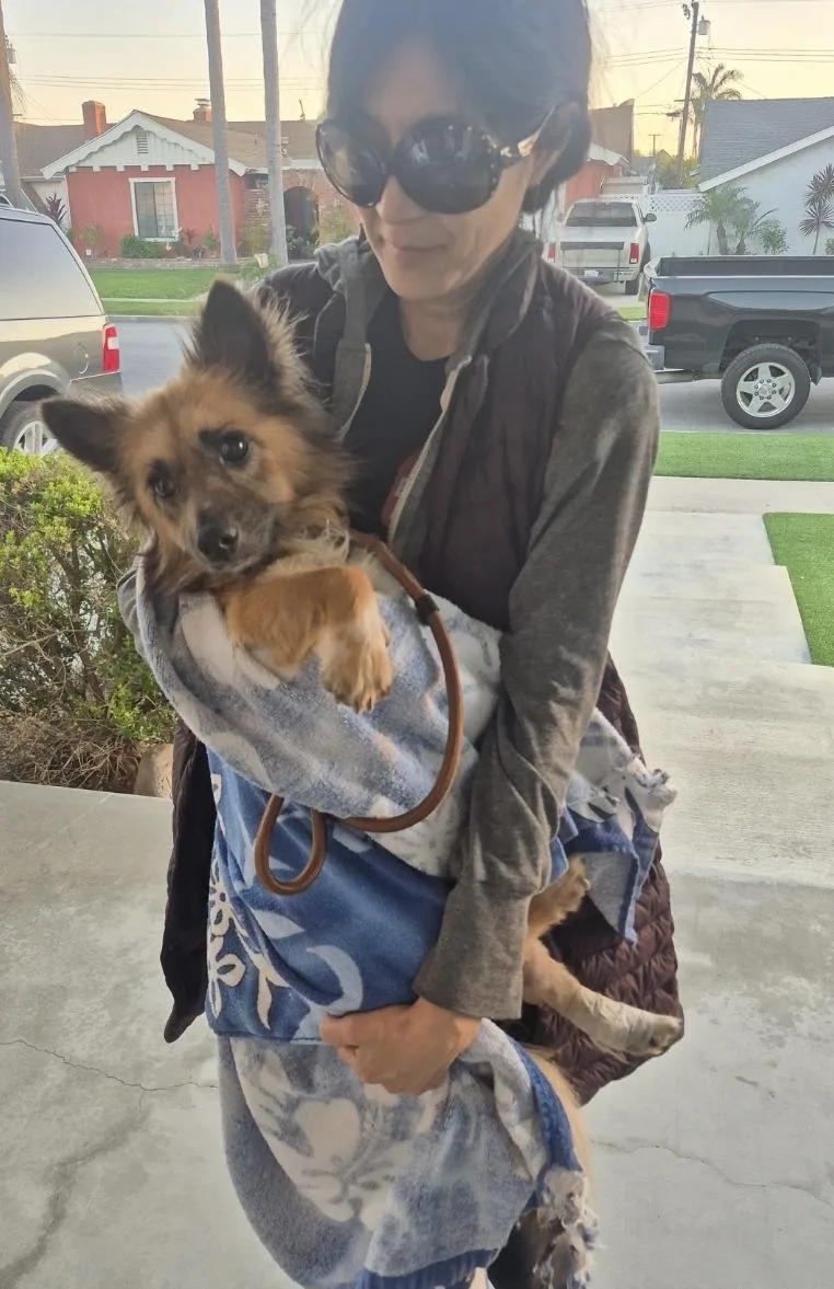 Enzo Bean thumbnail 2