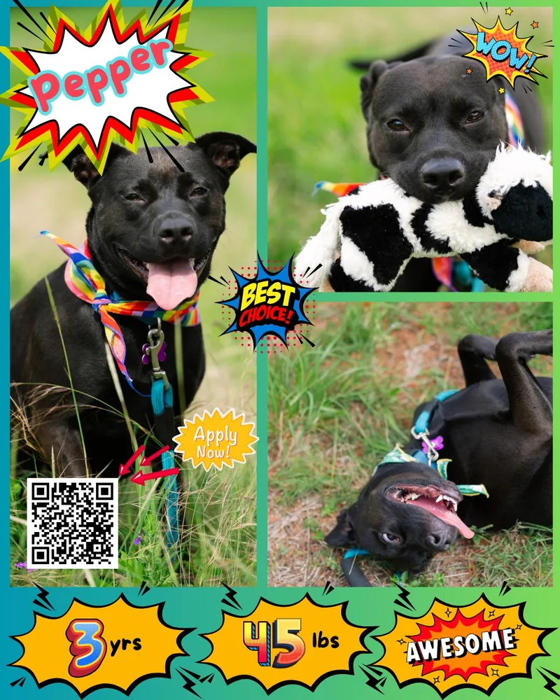 Pepper aka Pihu thumbnail 5