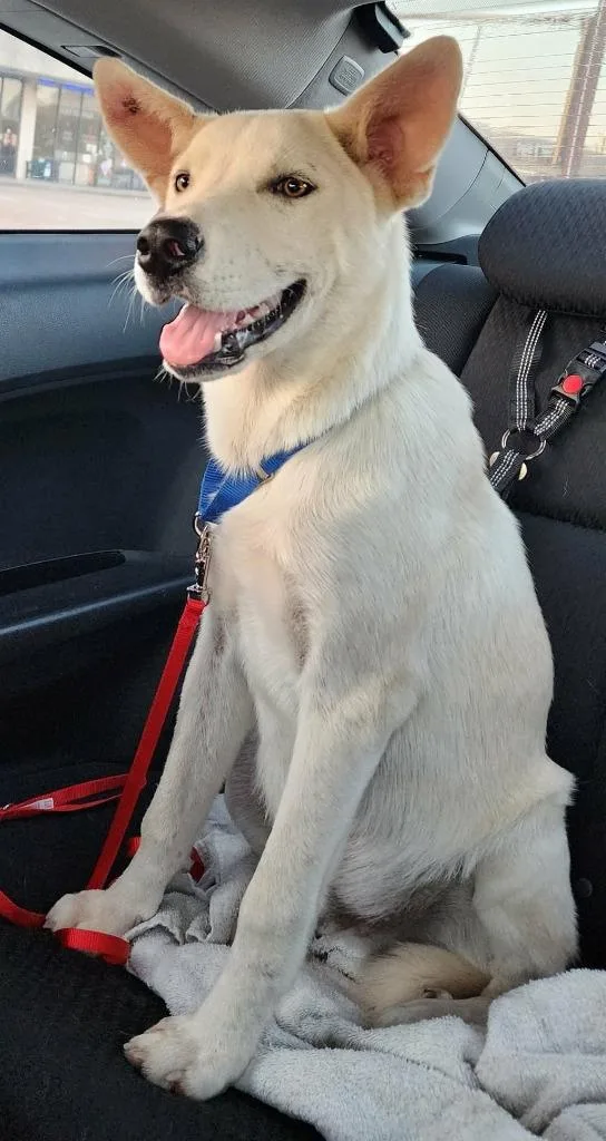 Cooper Mead