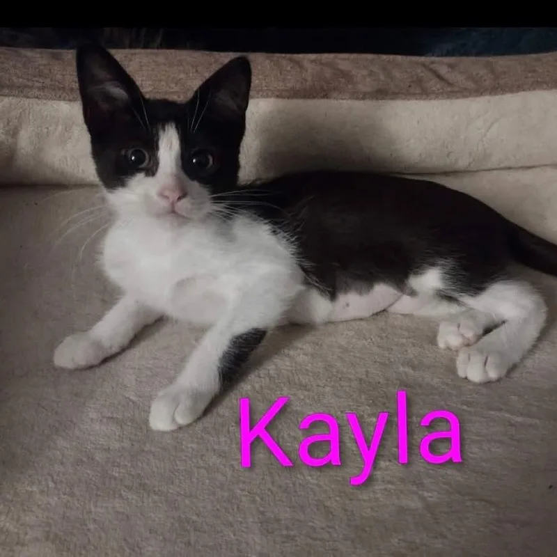 Kayla thumbnail 3