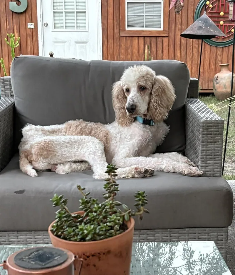 Max