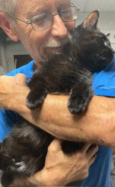 Jack Sparrow thumbnail 2