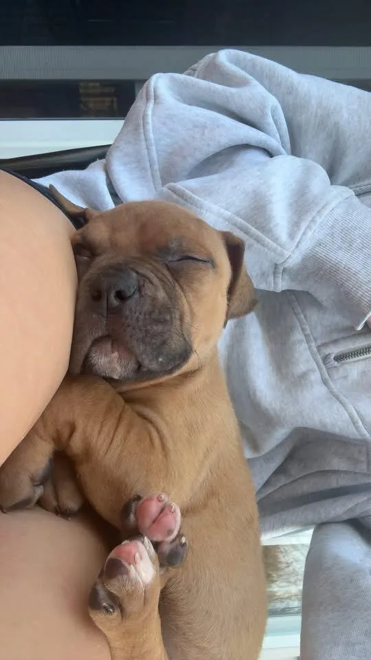 Lil John thumbnail 2