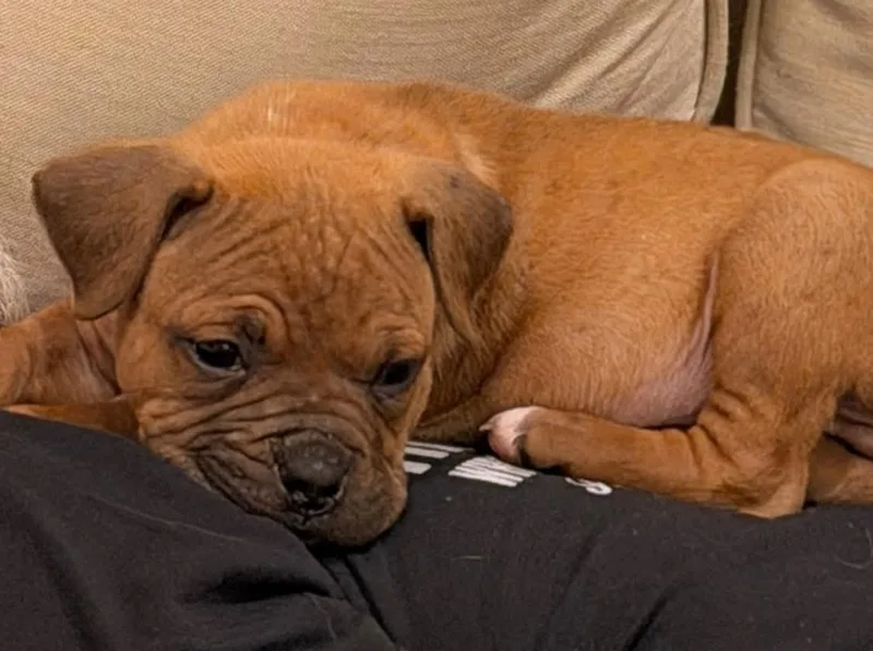 Lil John thumbnail 3