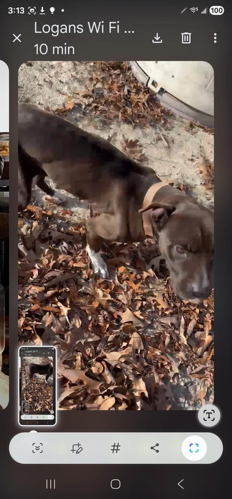 Little Rugby thumbnail 2