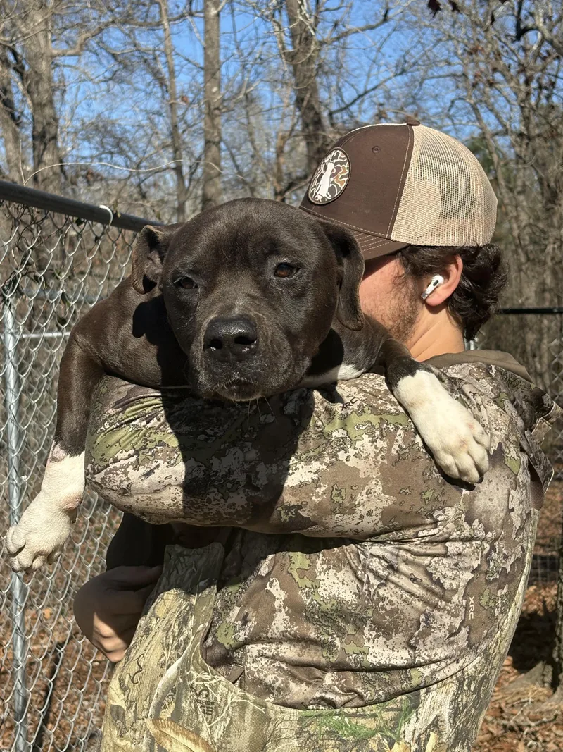 Little Rugby thumbnail 3