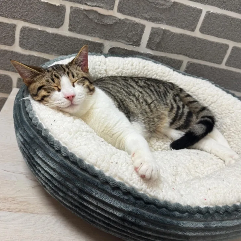 Sunny @ Fat Cat thumbnail 2