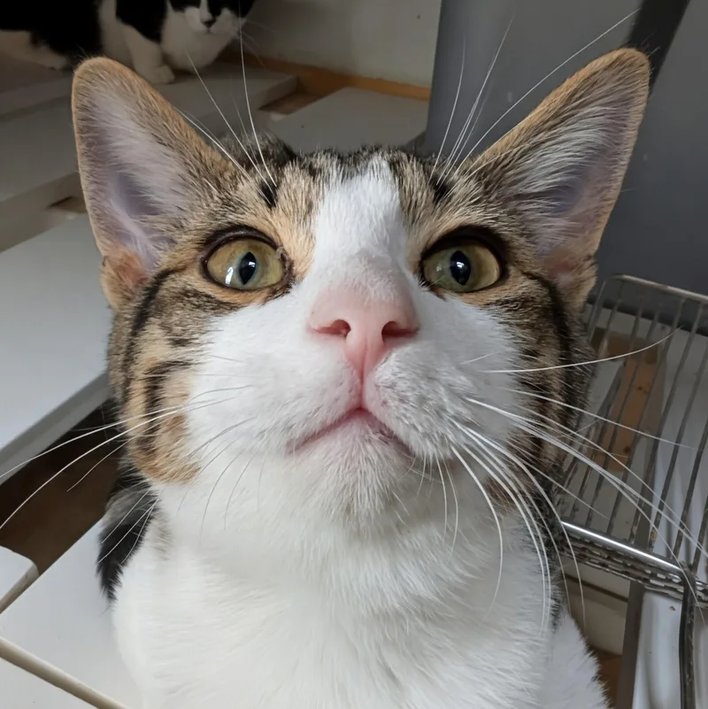 Sunny @ Fat Cat thumbnail 3